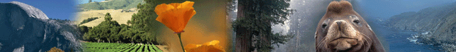 index_02.gif